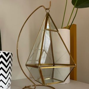 Glass and Gold Air Plant Holder